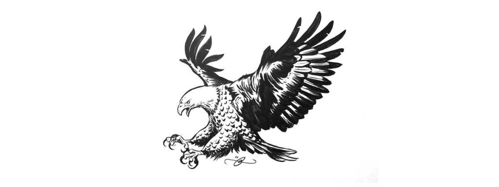 American Bald Eagle by Adi Gilbert